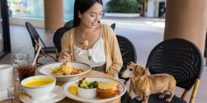 Hong Kong pone fin a años de prohibición: los perros ya pueden entrar en los restaurantes con sus dueños