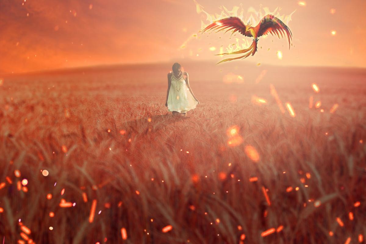 Historia y significado del ave fénix