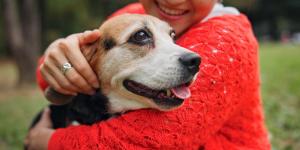 No es solo genética: el verdadero secreto para que tu perro viva más años (y lo puedes aplicar hoy mismo)