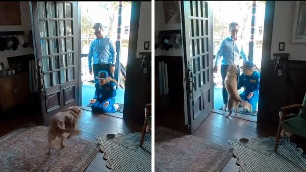 De la Luna a casa: así ha sido el tierno reencuentro entre la astronauta Christina Koch y su perrita Sadie