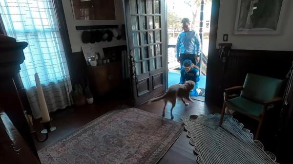 De la Luna a casa: así ha sido el tierno reencuentro entre la astronauta Christina Koch y su perrita Sadie - Sadie, la perrita que la esperaba en la Tierra