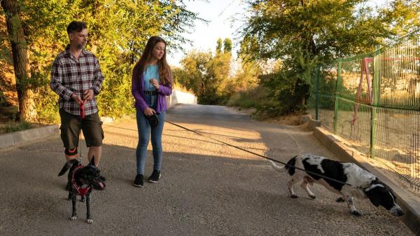 Los veterinarios y educadores caninos coinciden: “Tirar de la correa cuando el perro quiere oler algo le genera frustración y estrés durante el paseo ” - Así debería ser un paseo equilibrado, según los expertos