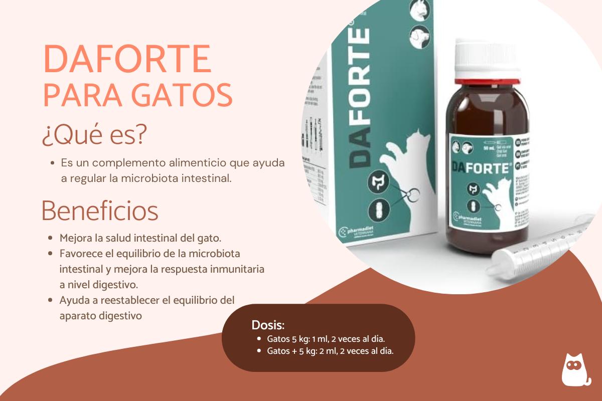 DaForte para gatos: dosis y cómo darlo