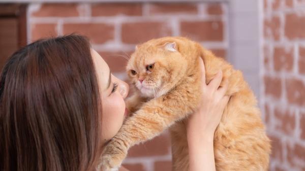 Carlos Gutiérrez, veterinario: “Si tu gato apoya una pata sobre ti, podría estar dándote las gracias” - Las señales que indican que tu gato confía en ti