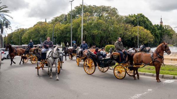 Sevilla protege a los caballos: prohibirá los paseos en carruaje en las horas más calurosas - La tradición de los coches de caballos en Sevilla: casi 100 licencias en el punto de mira
