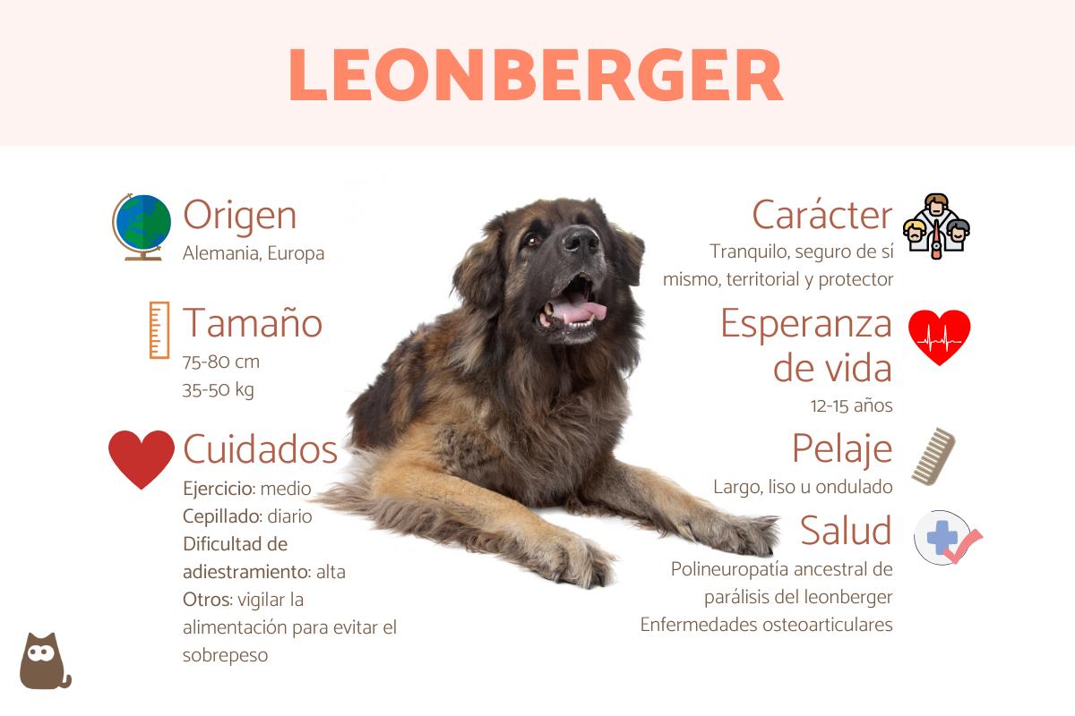 Leonberger