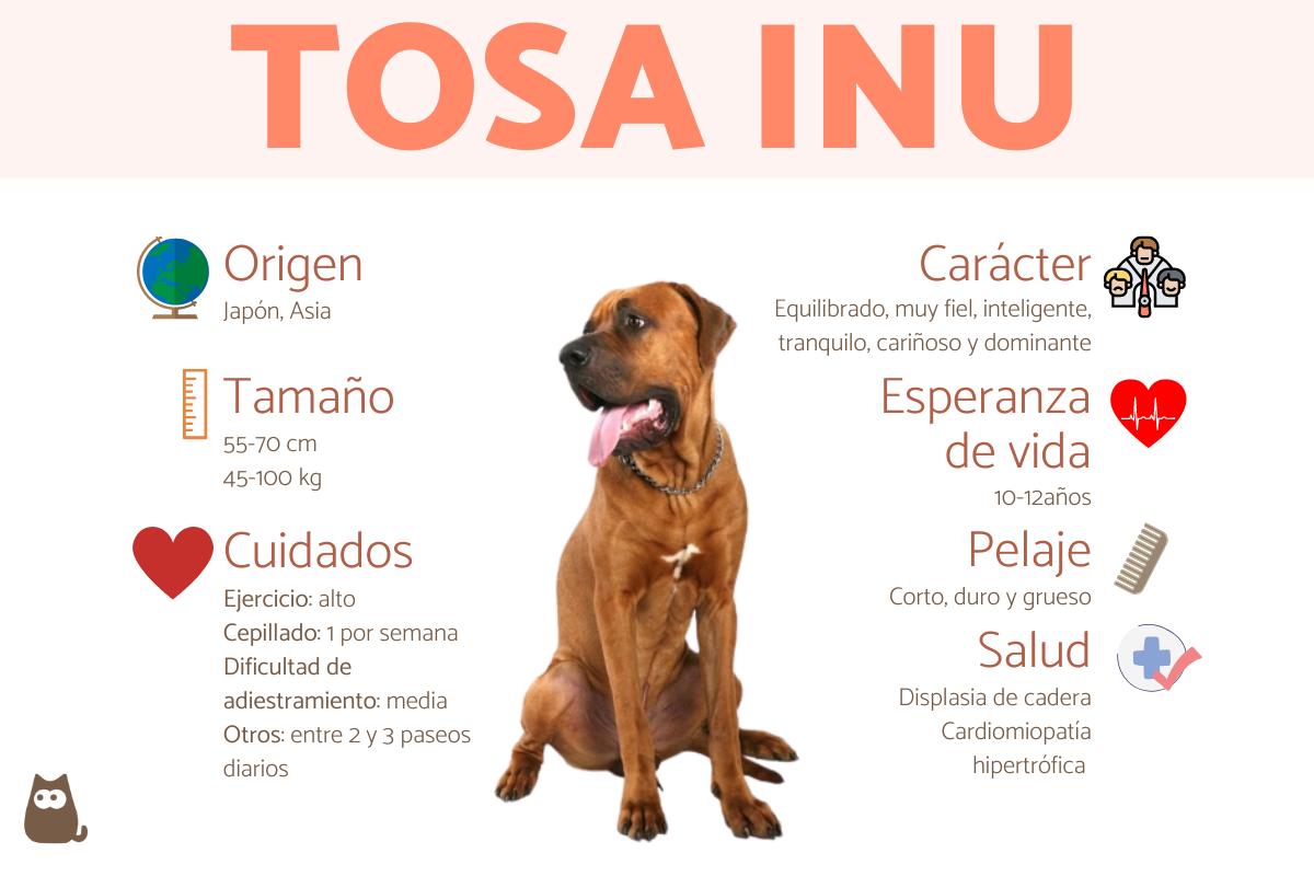 Tosa inu