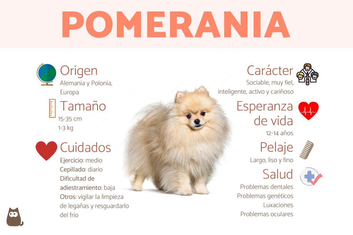 Pomerania