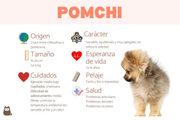 Pomchi