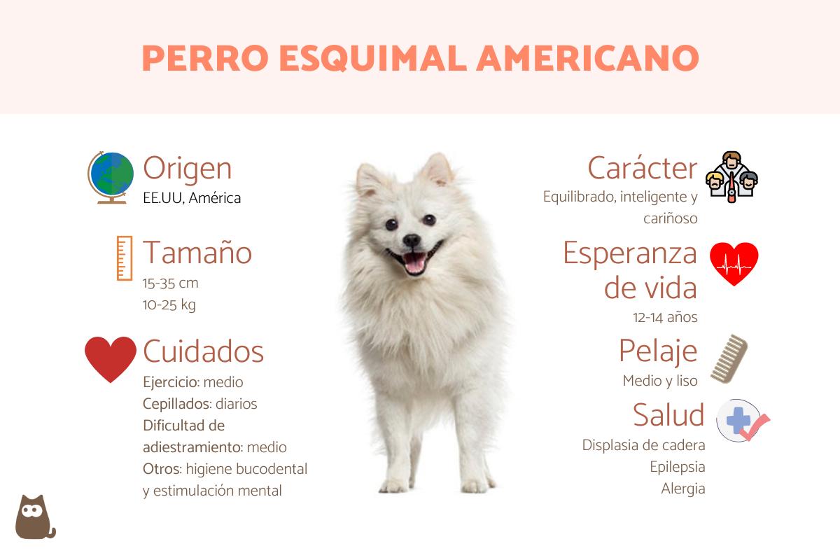 son perros esquimales leales a una persona